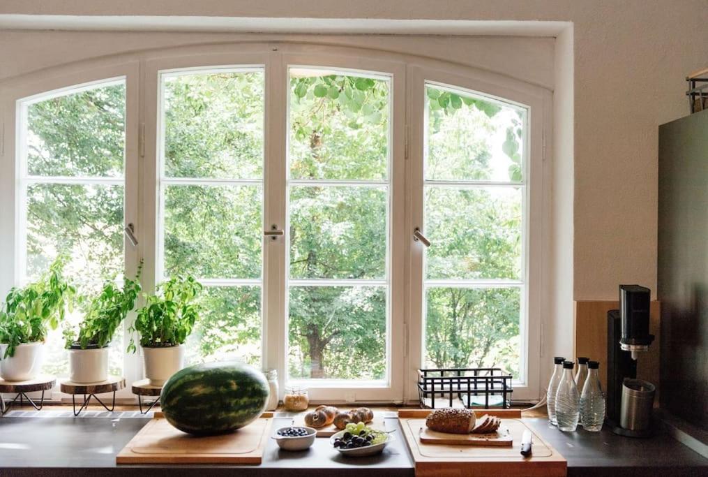 Ferienwohnung In Der Villa Sana Mit Grossem Garten Rofingen Exteriör bild