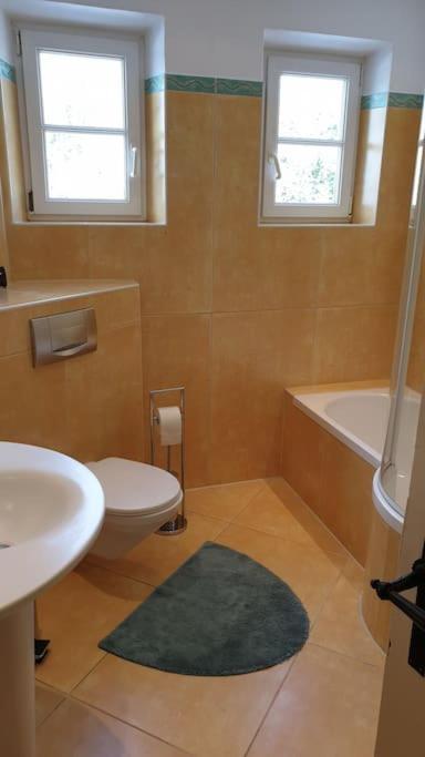 Ferienwohnung In Der Villa Sana Mit Grossem Garten Rofingen Exteriör bild